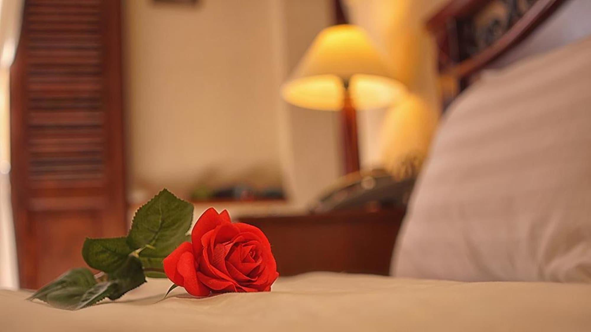 Cam Ly Boutique Apartment & Hotel Bandar Ho Chi Minh Luaran gambar