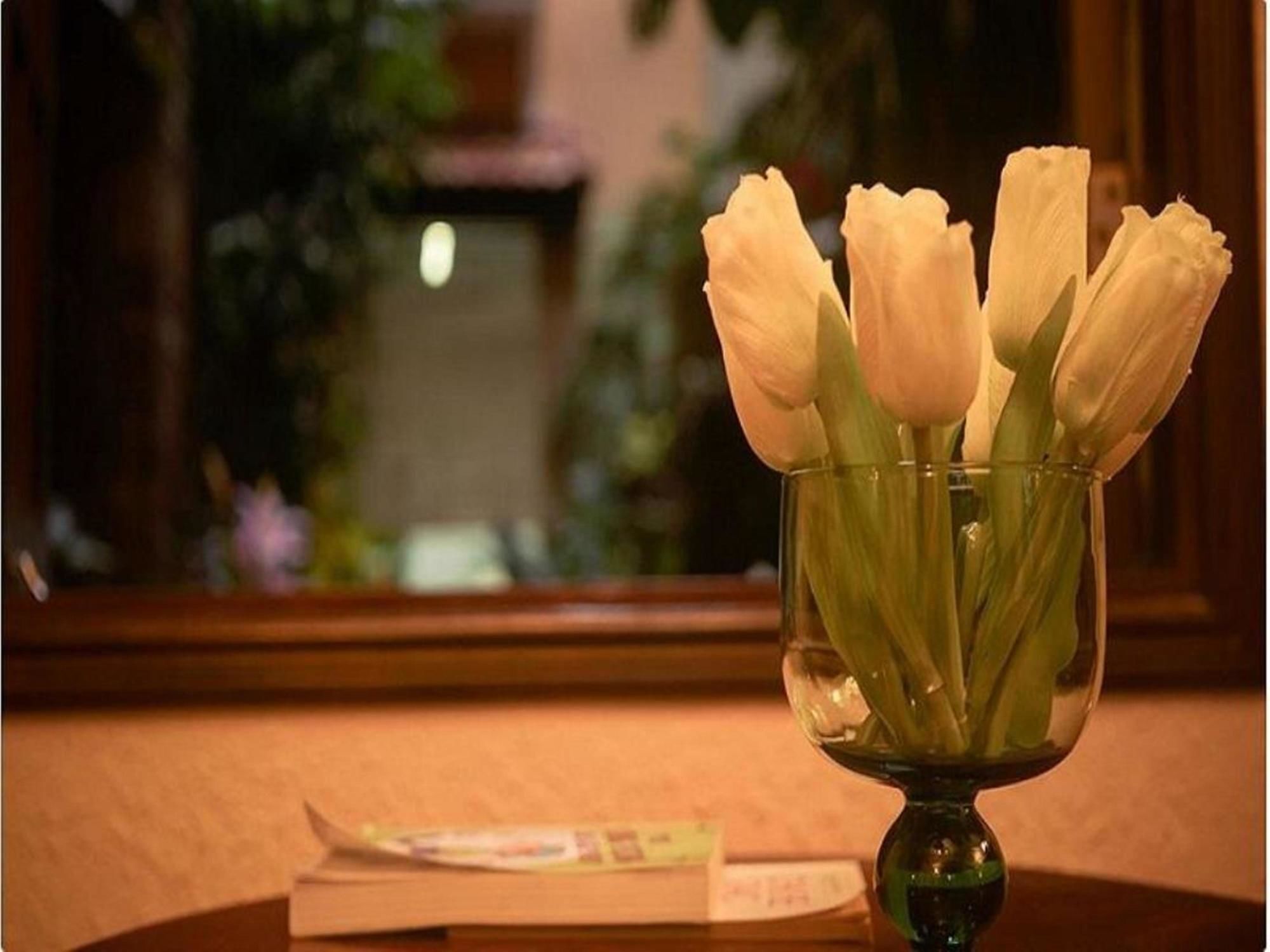 Cam Ly Boutique Apartment & Hotel Bandar Ho Chi Minh Luaran gambar